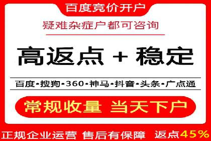 某知名品牌SEM运营策略及效果评估